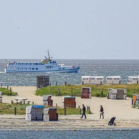 Lovely In With Kitchen Appartement *